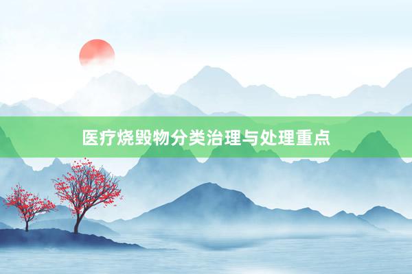 医疗烧毁物分类治理与处理重点