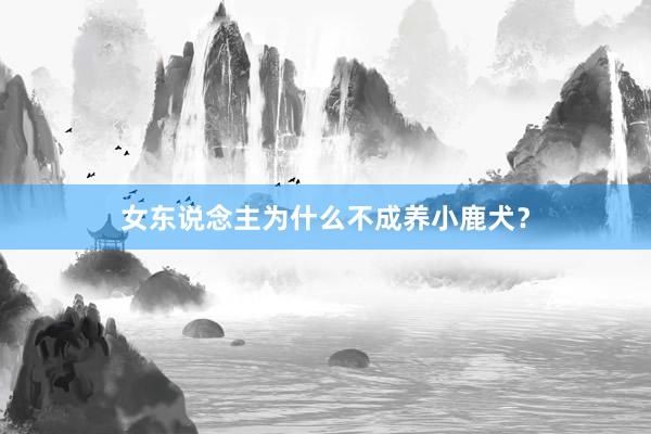 女东说念主为什么不成养小鹿犬？